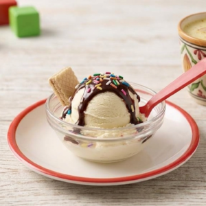 Mini Sundae with Chocolate Drizzle
